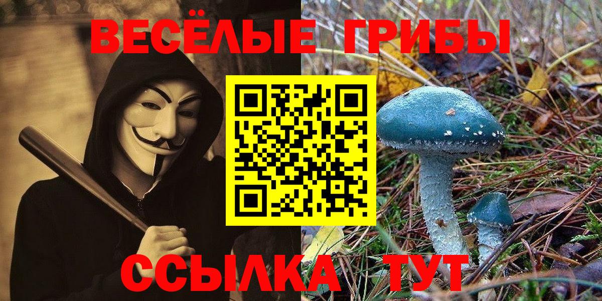 Галлюциногенные грибы прущие грибы Мариинск